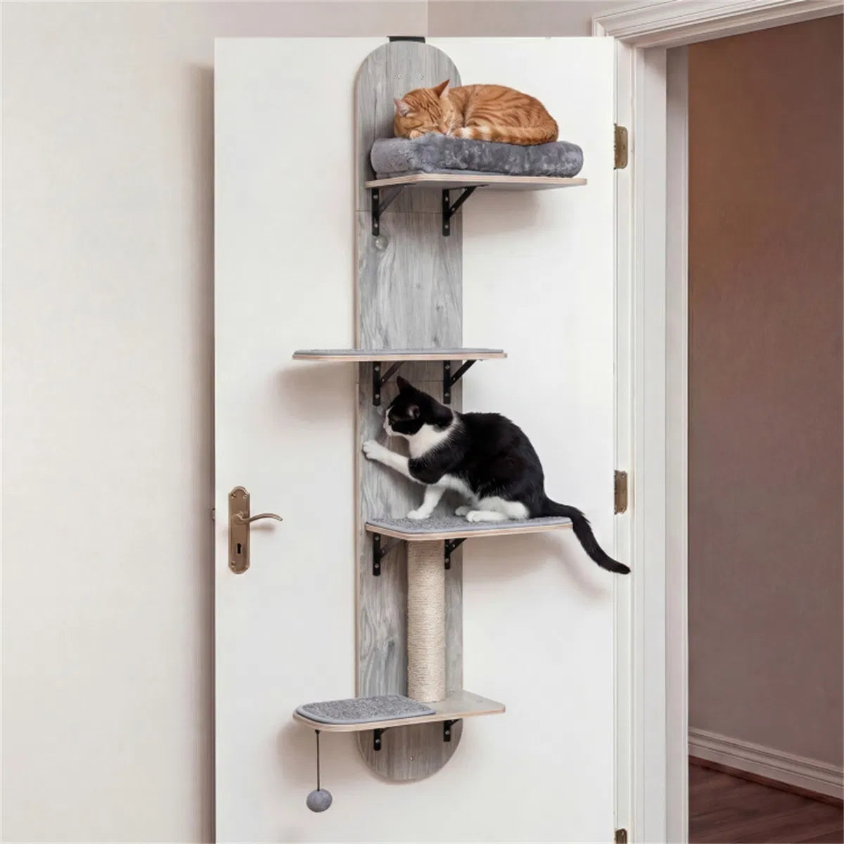 Orange tabby sleeping on top perch and black-white cat climbing door-mounted grey cat tree with scratching post