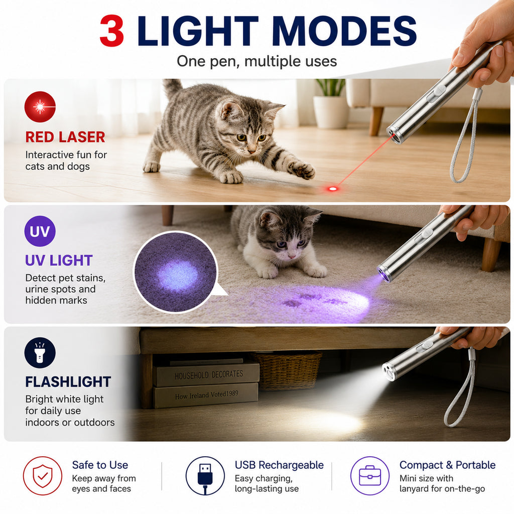 3 light modes pet laser infographic with cat