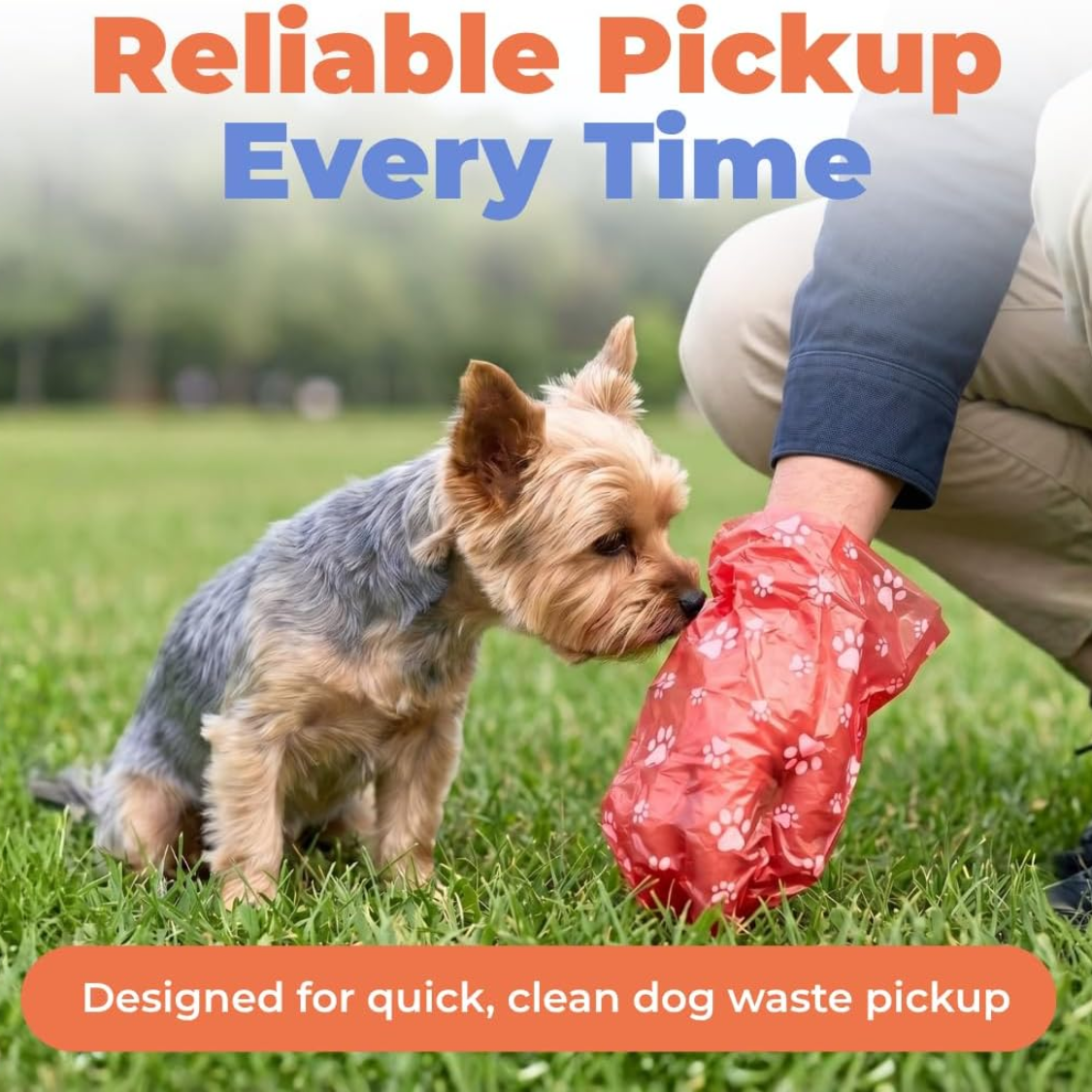 yorkshire terrier next to red paw print dog poop bag on grass for quick clean dog waste pickup