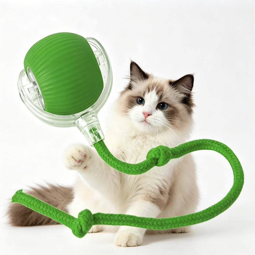 Cat playing with a green electric rolling ball toy with rope tail