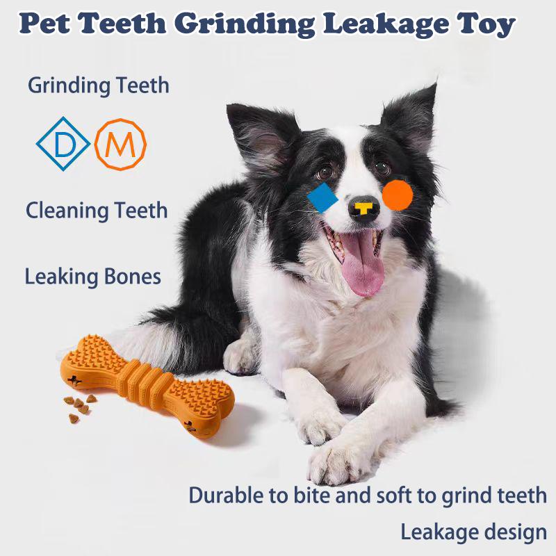 Border collie with orange bone chew stick and treats showing teeth grinding and leakage design