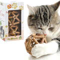 Kitten chewing a natural silvervine stick ball toy