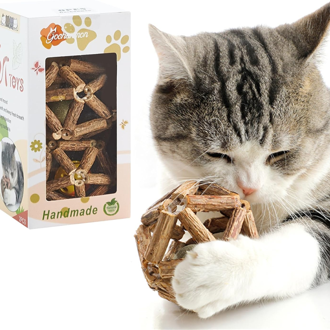 Kitten chewing a natural silvervine stick ball toy