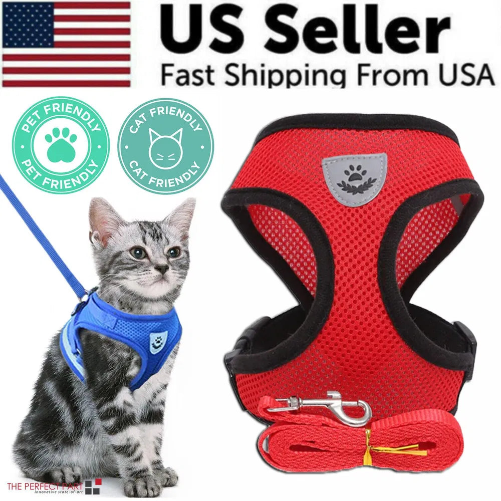 Red breathable mesh reflective dog harness vest with matching red leash; silver tabby kitten wearing blue adjustable no-pull harness