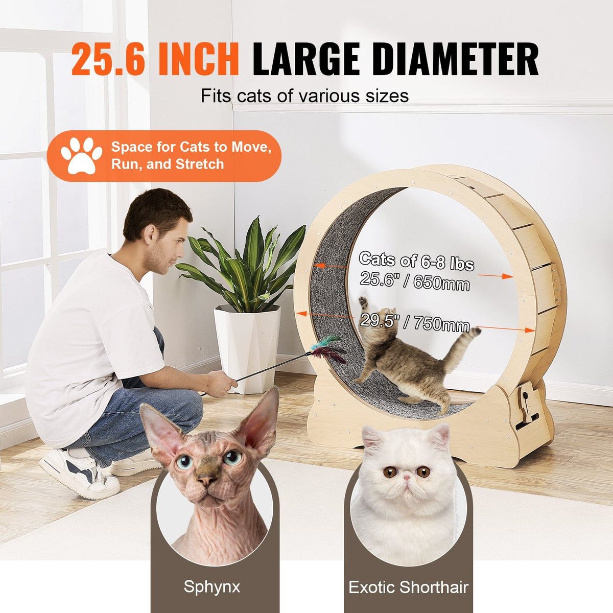 Cat Exercise Wheel Large Cat Treadmill Wheel For Indoor Cats 29.5 Inch