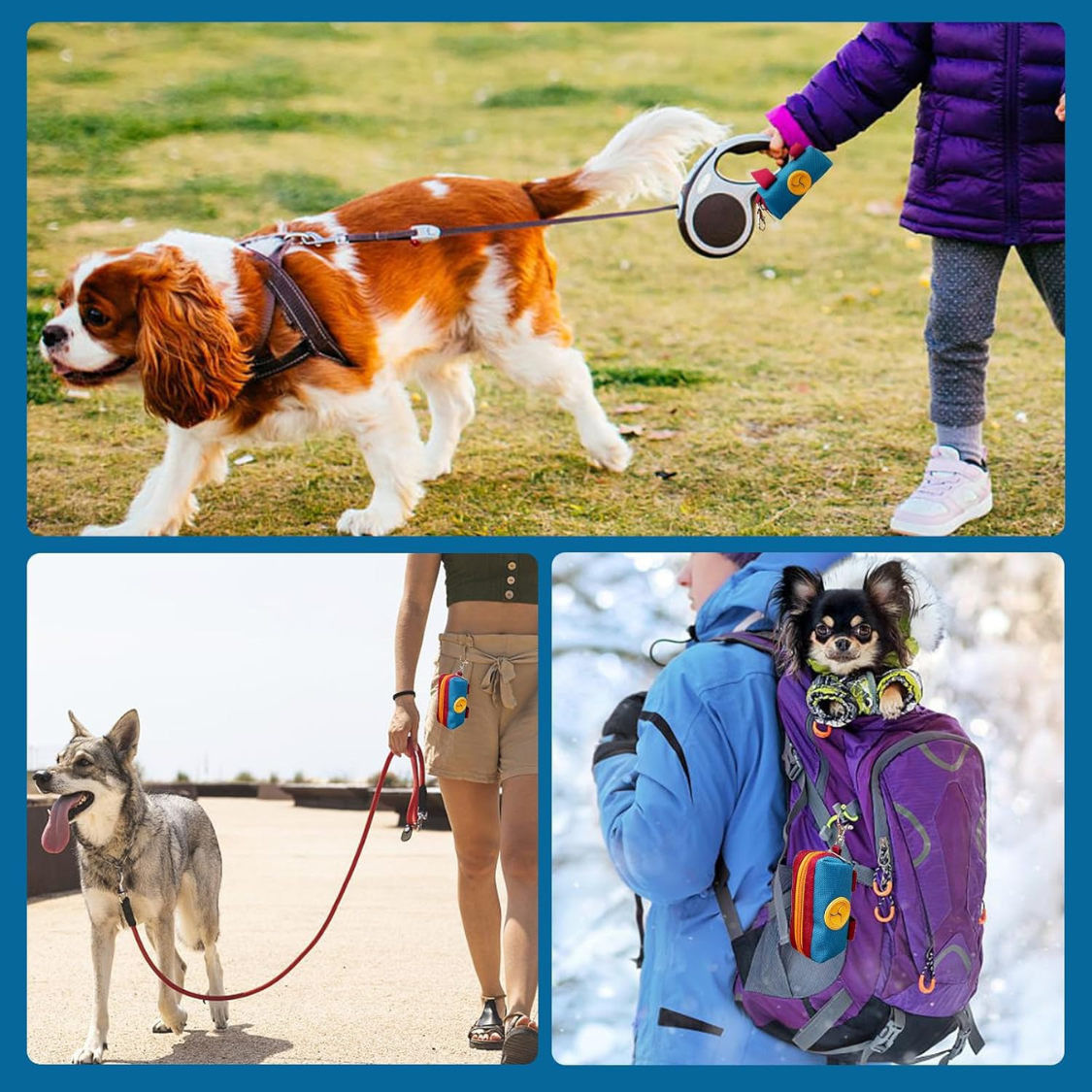 Dog poop bag holder pouch in use – Cavalier on retractable leash, walker with husky-type dog, and chihuahua backpack with clipped pouch