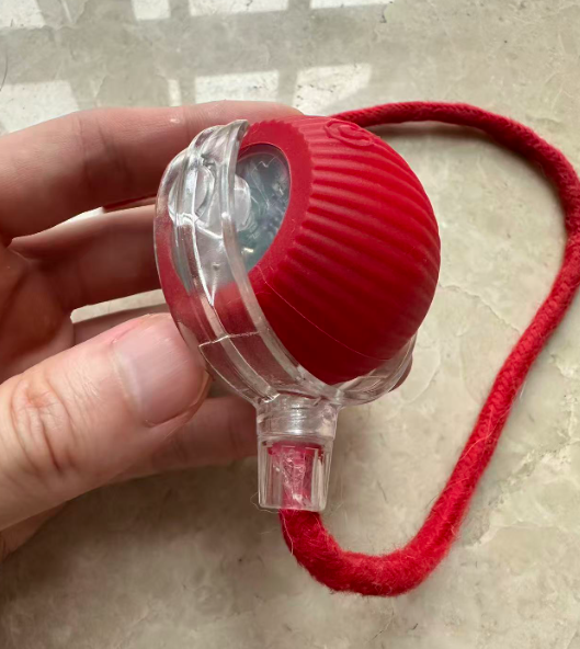 Hand holding red rolling pet ball showing charging port