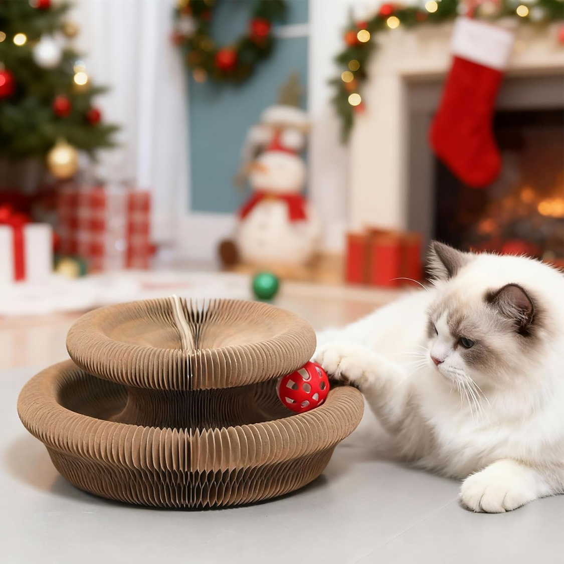 Ragdoll cat playing with Kitty Kurlz accordion scratcher and red ball – festive Christmas scene with snowman