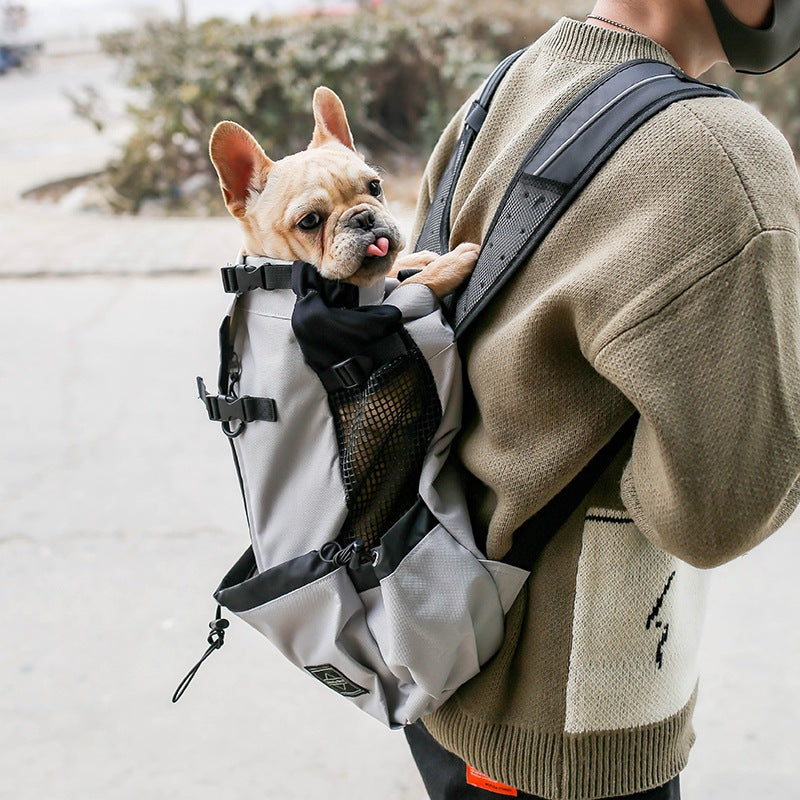 grey dog carrier backpack for small dogs worn on back