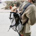 grey dog carrier backpack for small dogs worn on back