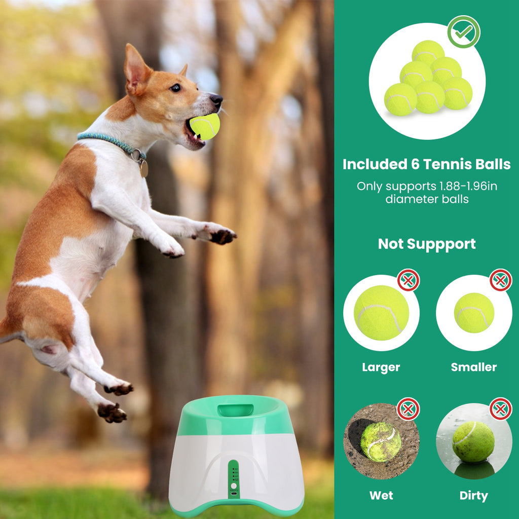 Dog jumping for a tennis ball with an automatic ball launcher