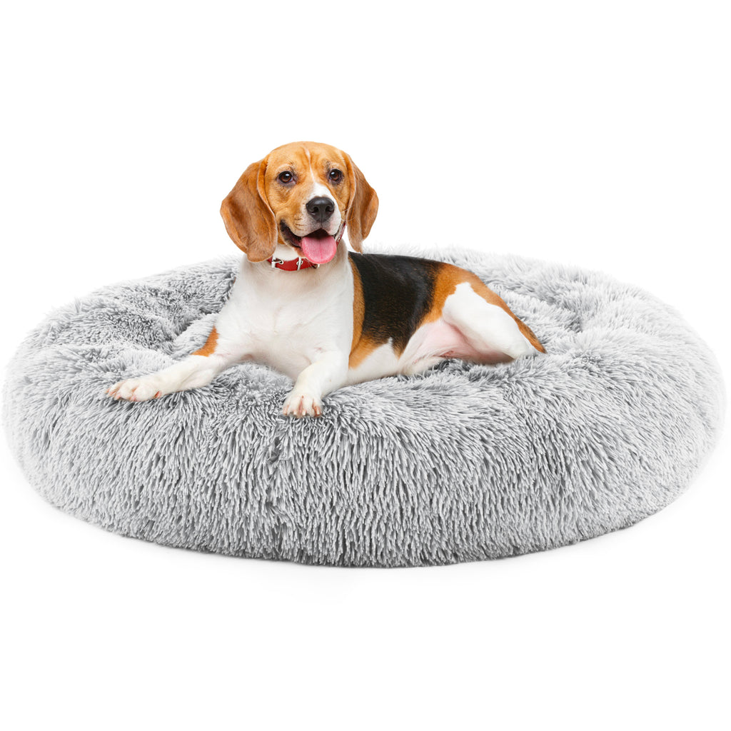 Beagle dog resting in a round fluffy grey plush cat bed