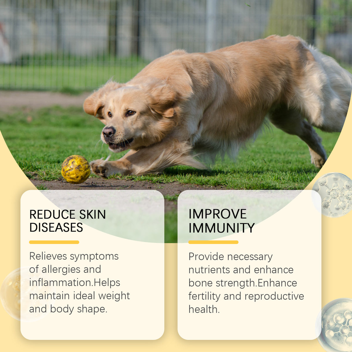 Fish oil chewable tablets for dogs, soft chew tablets close-up