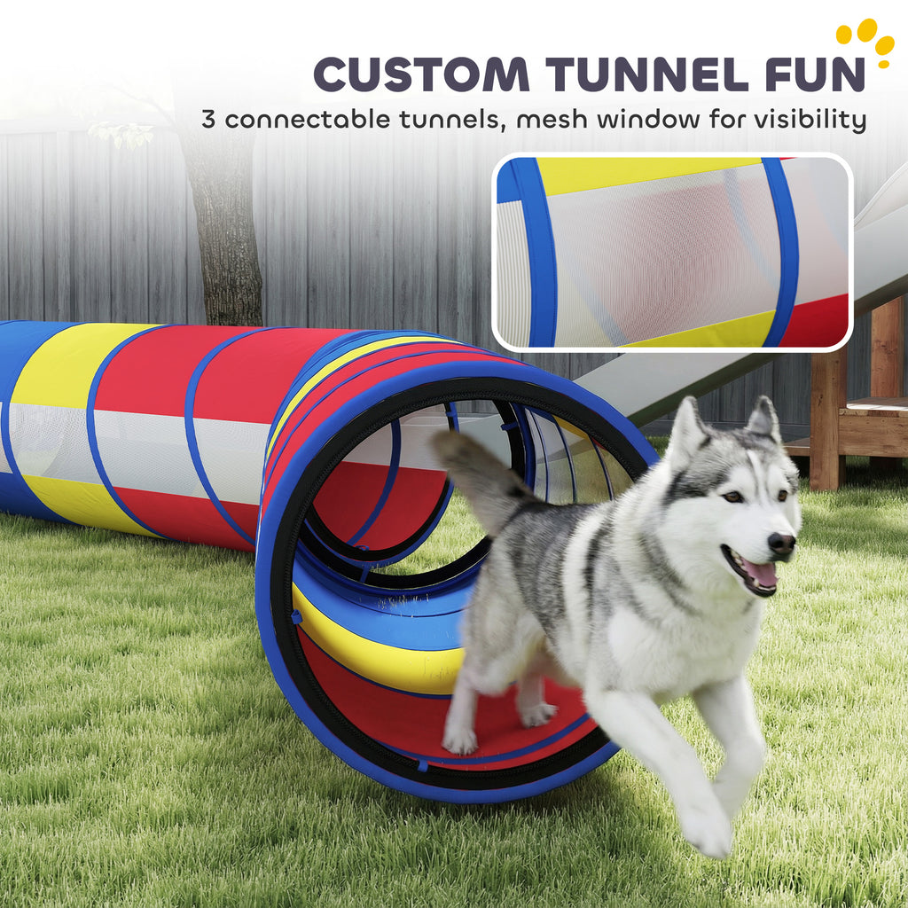 Custom tunnel placement agility infographic with dog