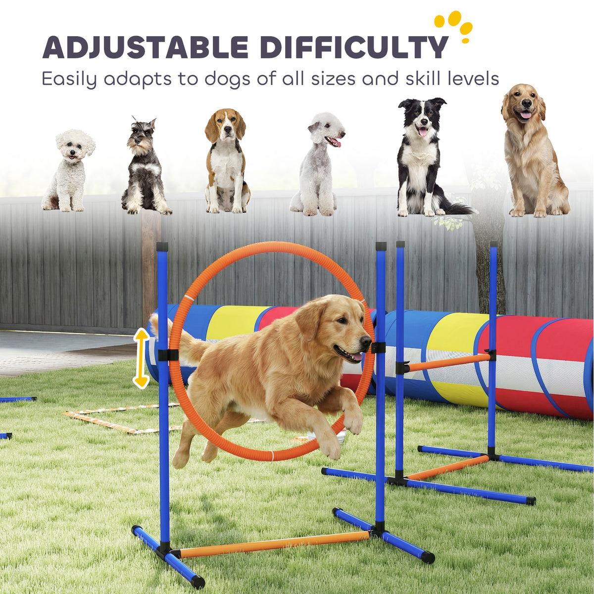Adjustable difficulty dog agility course infographic with dogs