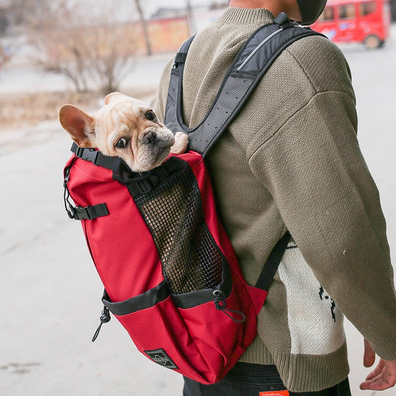 red dog carrier backpack for small dogs worn on back