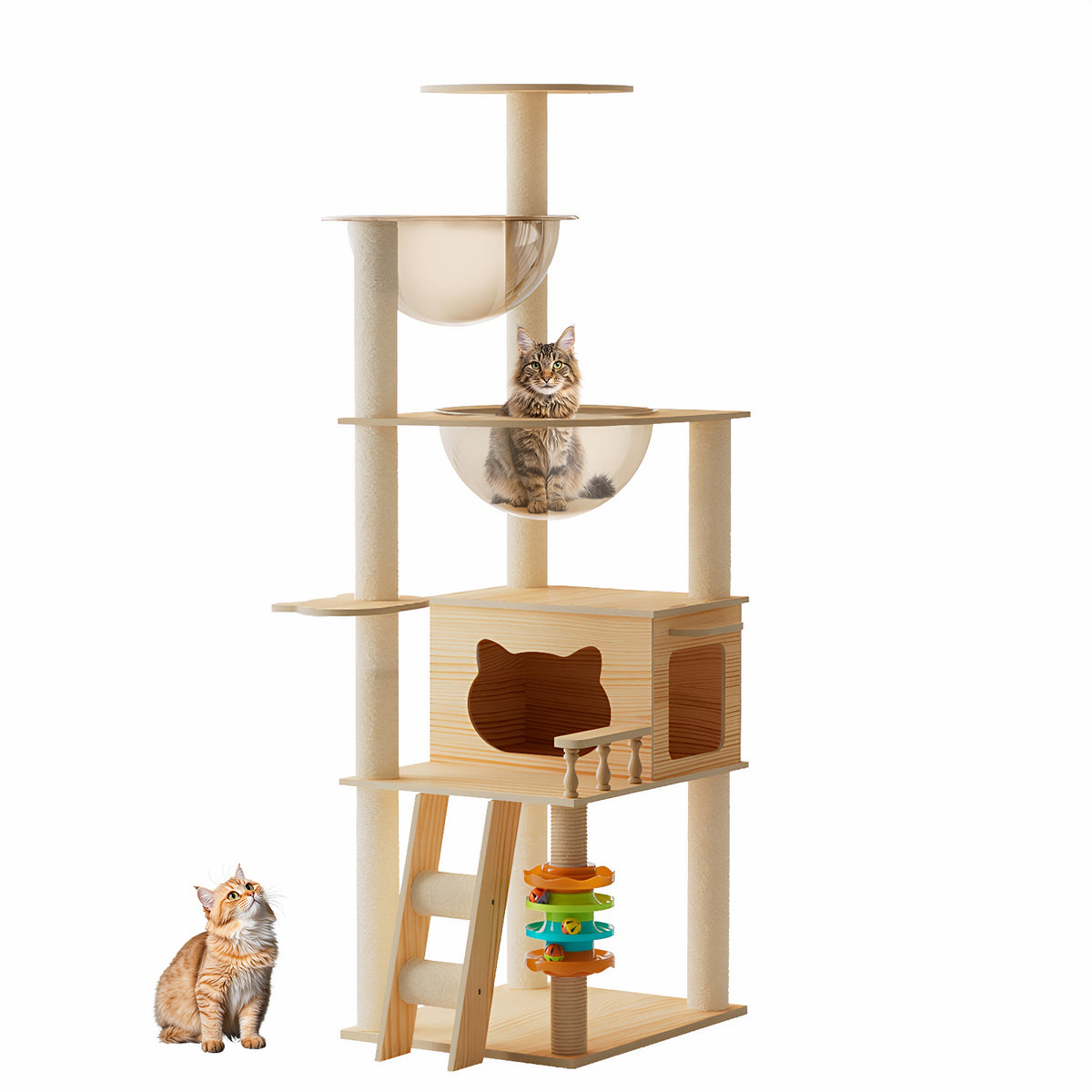 Wood cat tower product shot with tabby cat in acrylic bowl and orange cat beside it