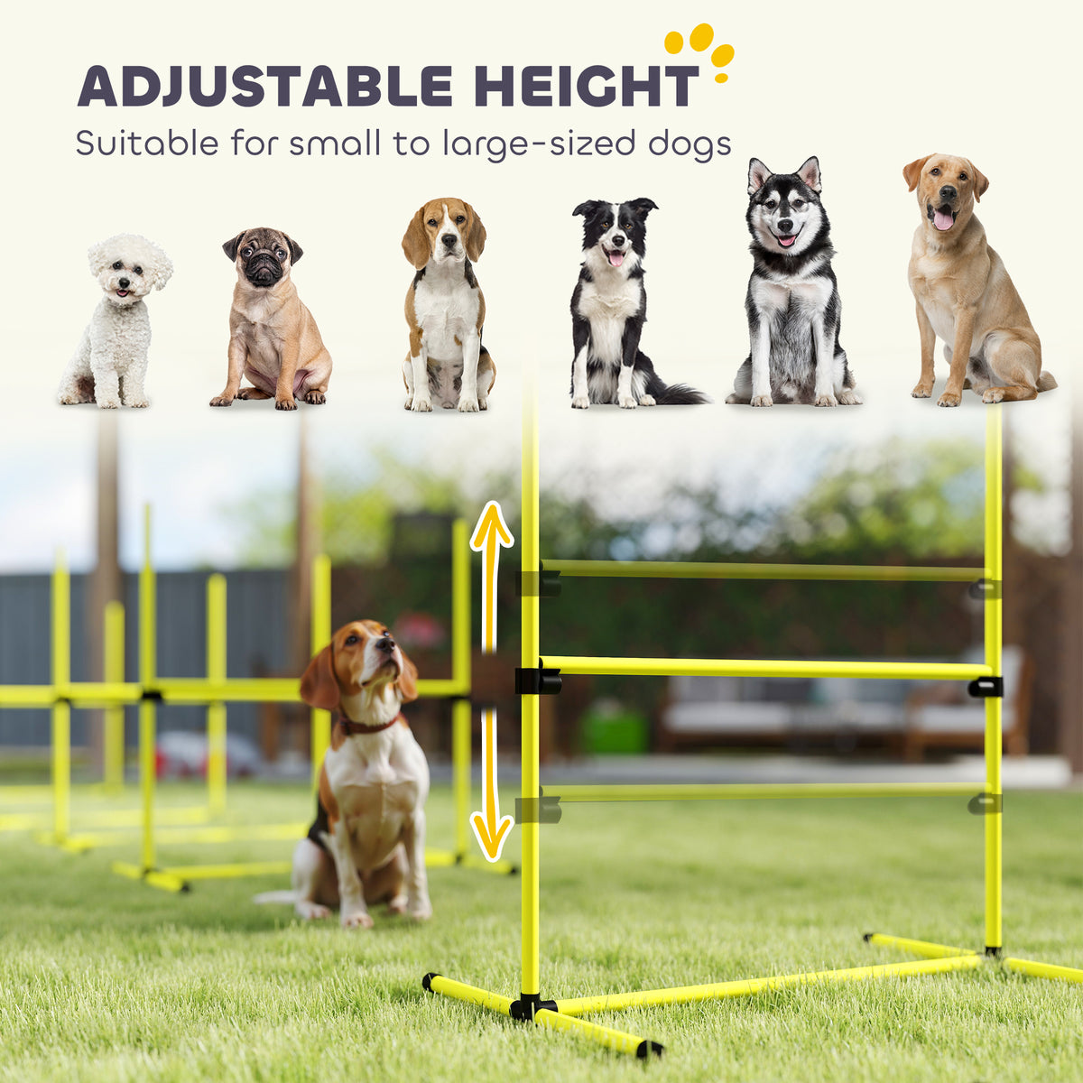 Adjustable height infographic showing six dogs of different sizes beside a yellow agility jump bar
