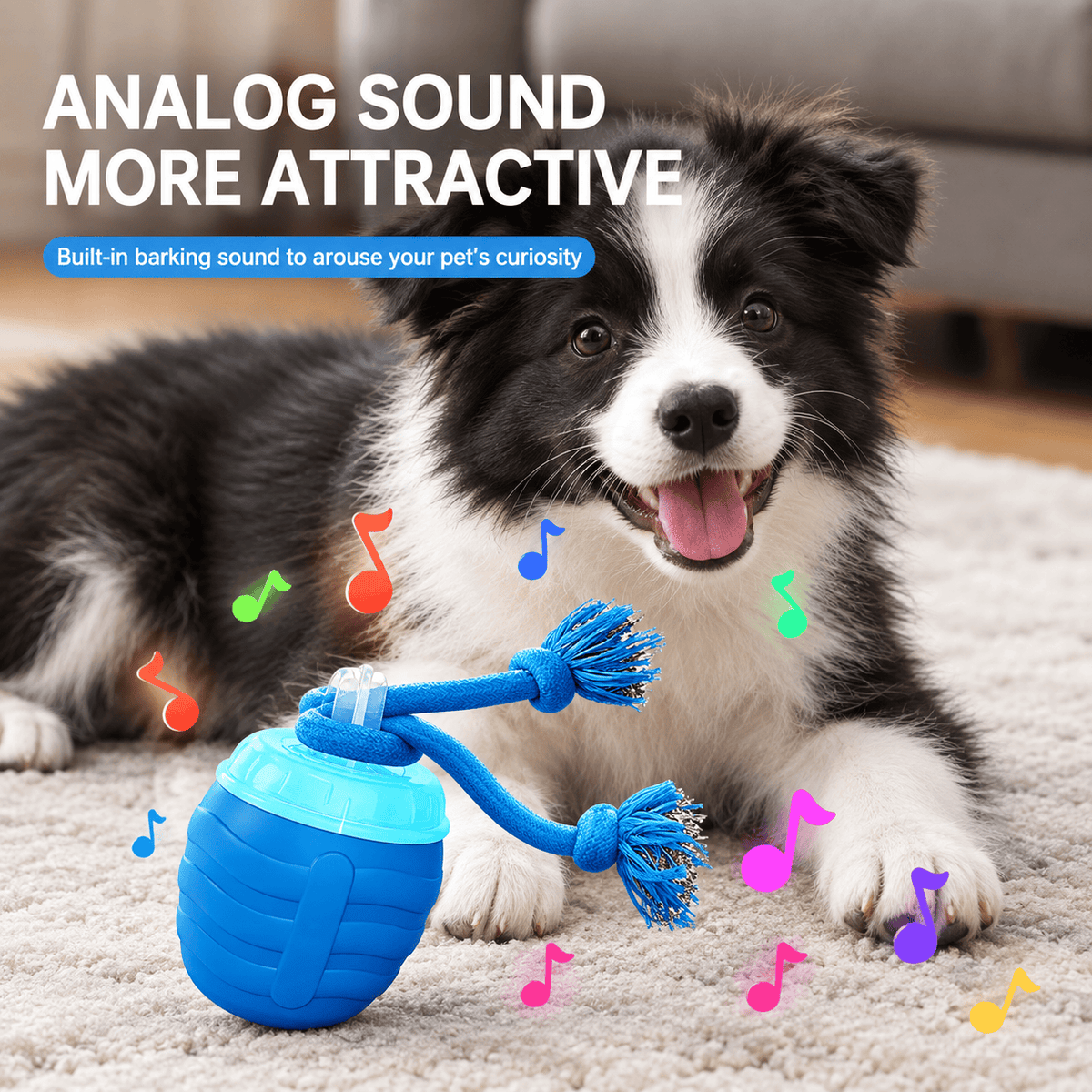 Analog sound graphic showing a Border Collie puppy with the blue smart ball and rope toy and floating music notes, captioned analog sound more attractive.