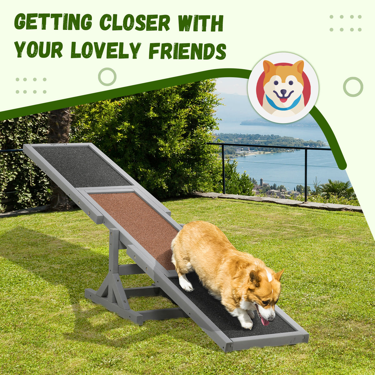 Anti-slip design dog agility seesaw infographic