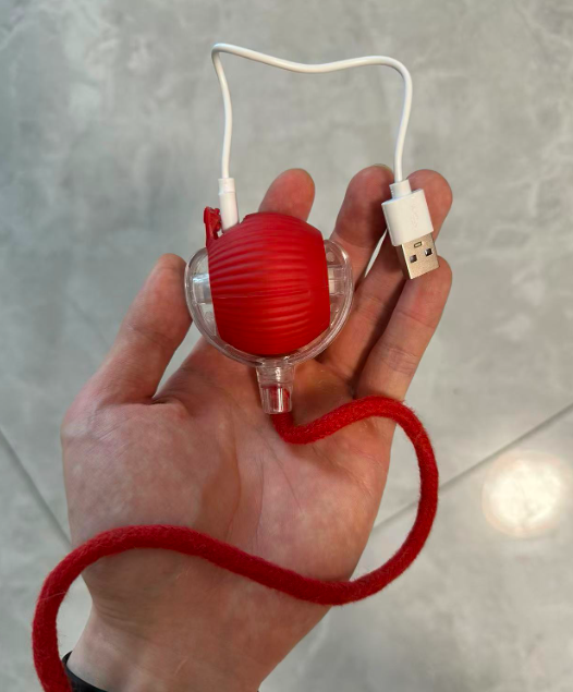 Hand holding a red rolling pet toy ball
