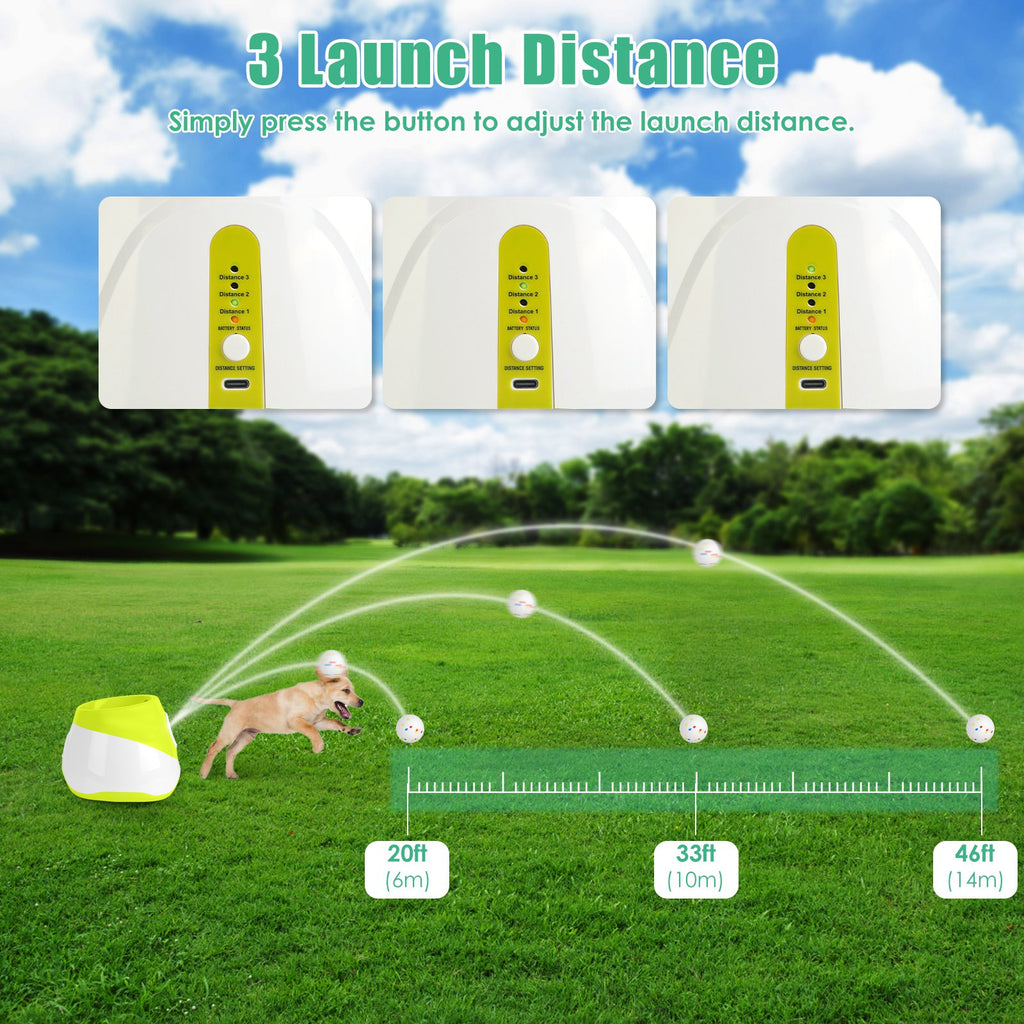 How to use automatic dog ball launcher infographic