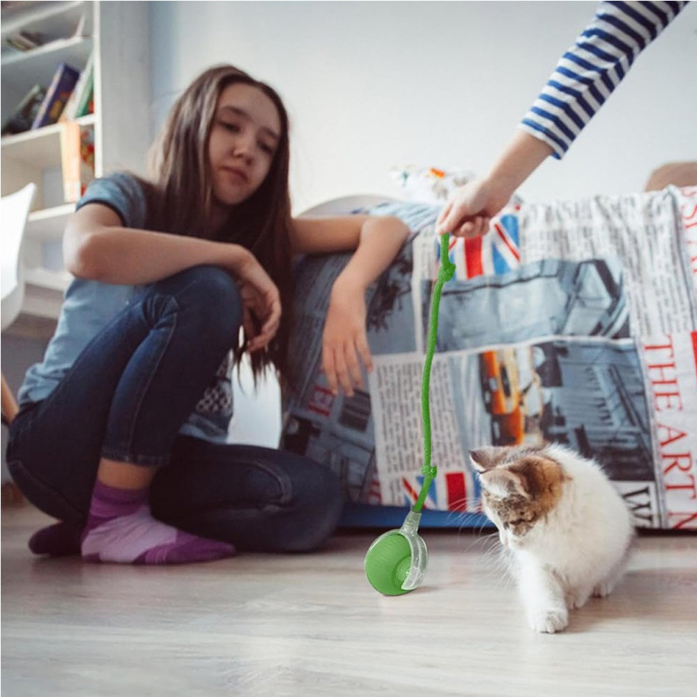 Family playing with a green electric cat ball toy
