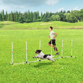 Small dog jumping through white agility weave poles on grass with trainer running behind