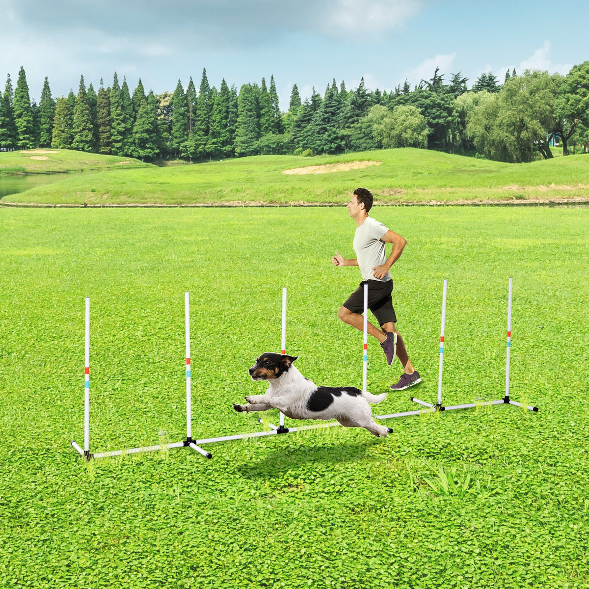Small dog jumping through white agility weave poles on grass with trainer running behind