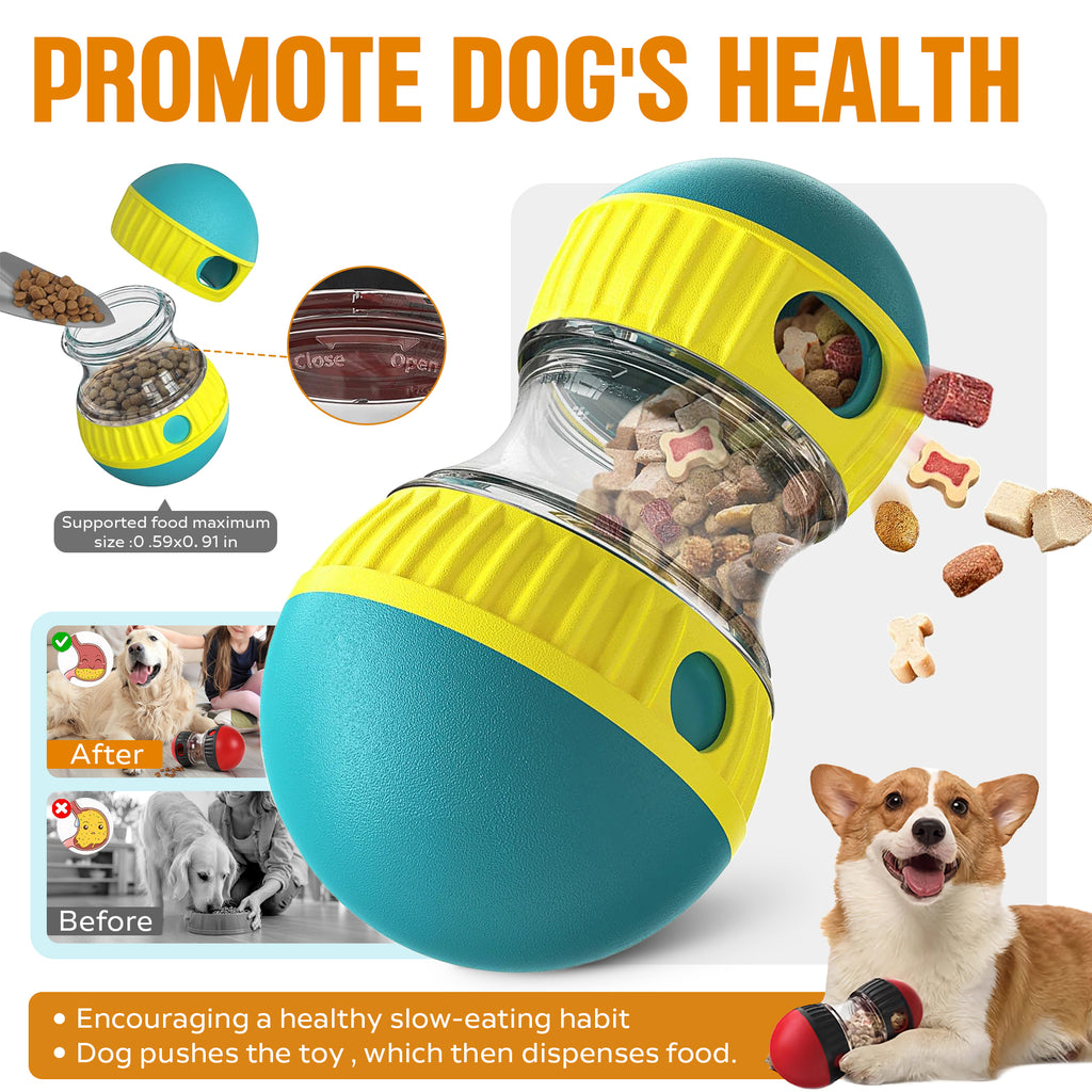 Promote dog's health infographic with treat dispensing ball