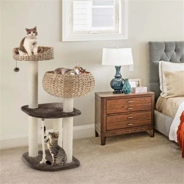 Water hyacinth cat tree in a bedroom with three cats resting and climbing