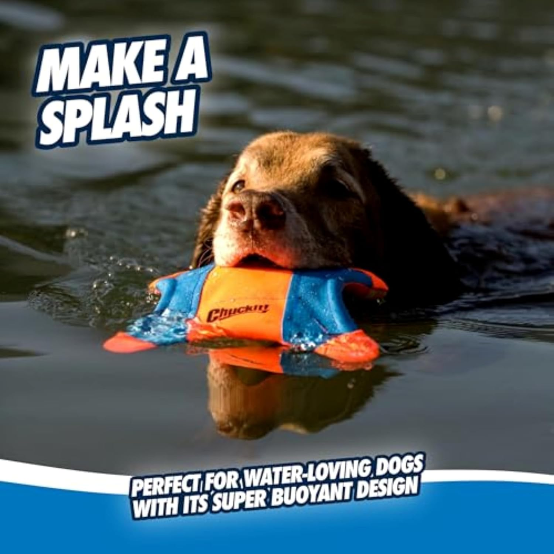 Dog in water with a flying squirrel toy, make a splash infographic
