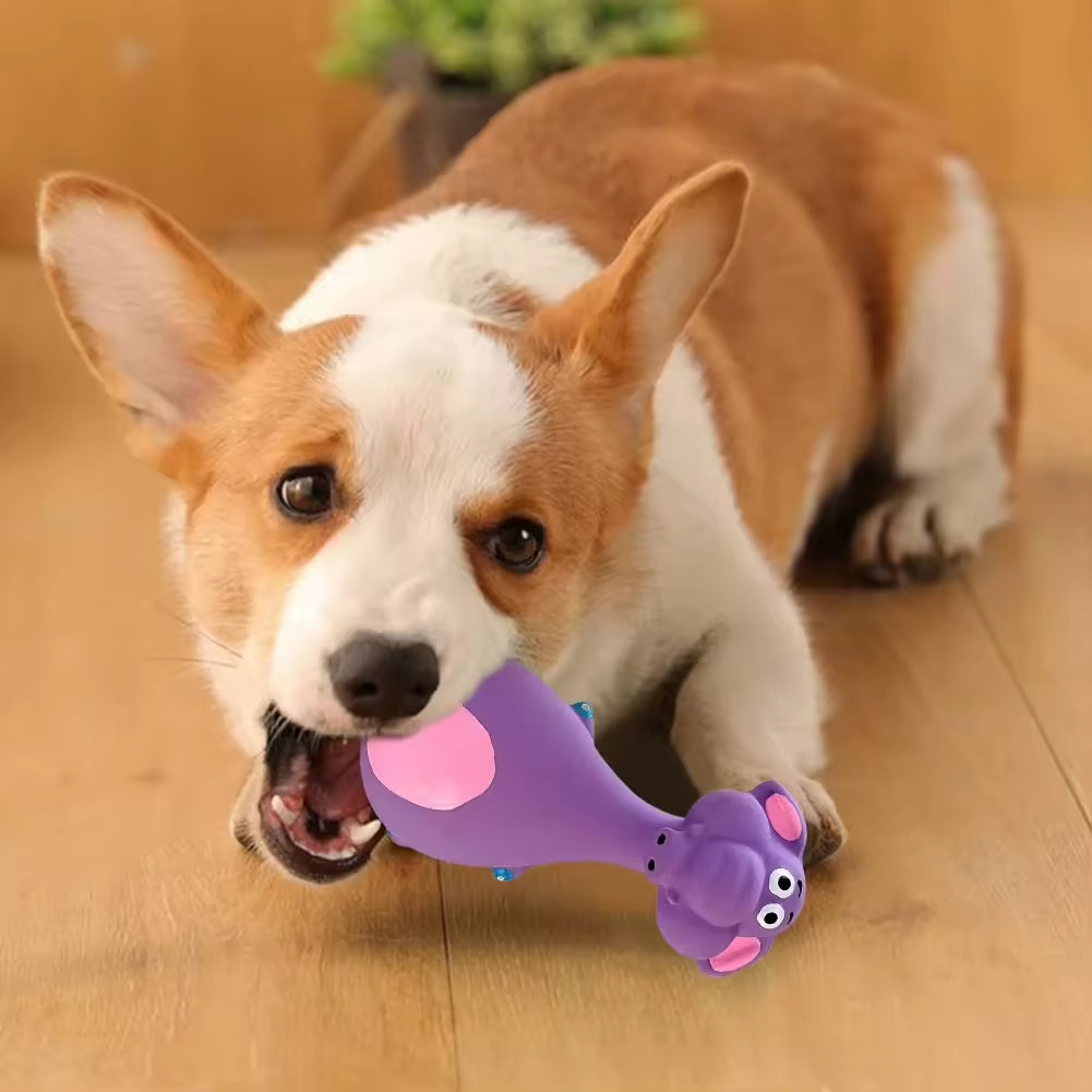 Corgi dog chewing a purple latex hippo-shaped squeaky toy with pink belly on a wooden floor.