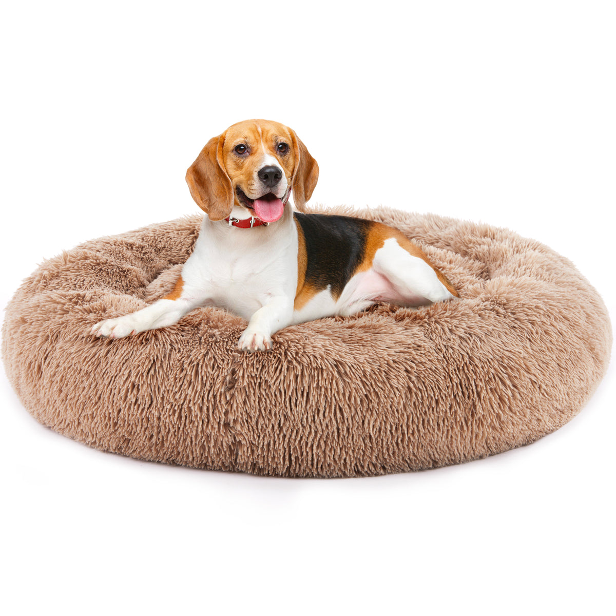 Small dog lying in a round fluffy brown faux fur pet bed