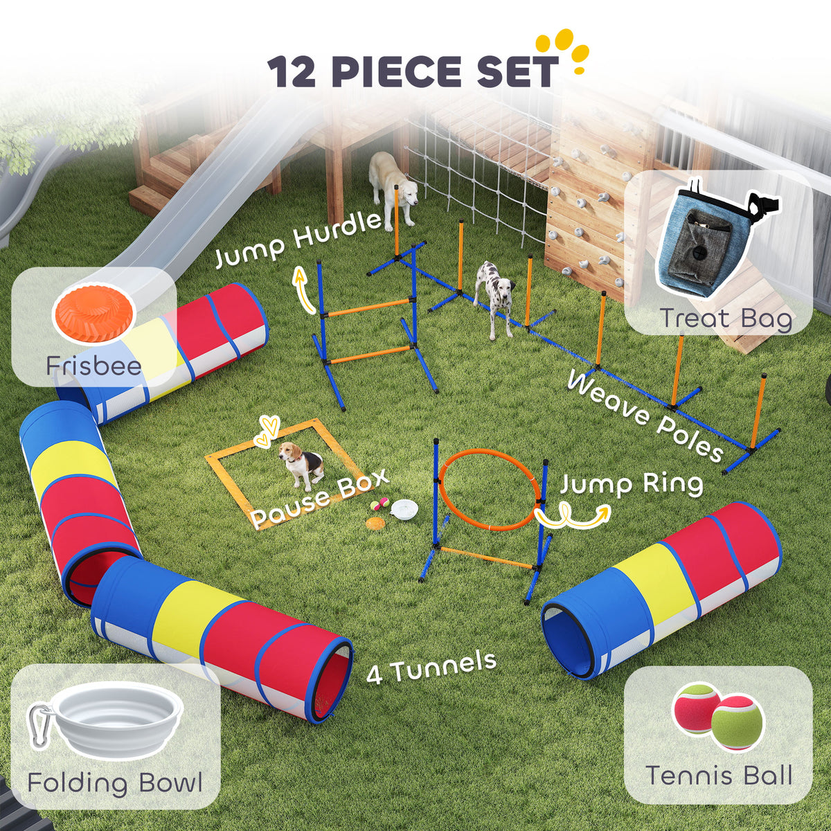 Dog and handler on a 12-piece agility course