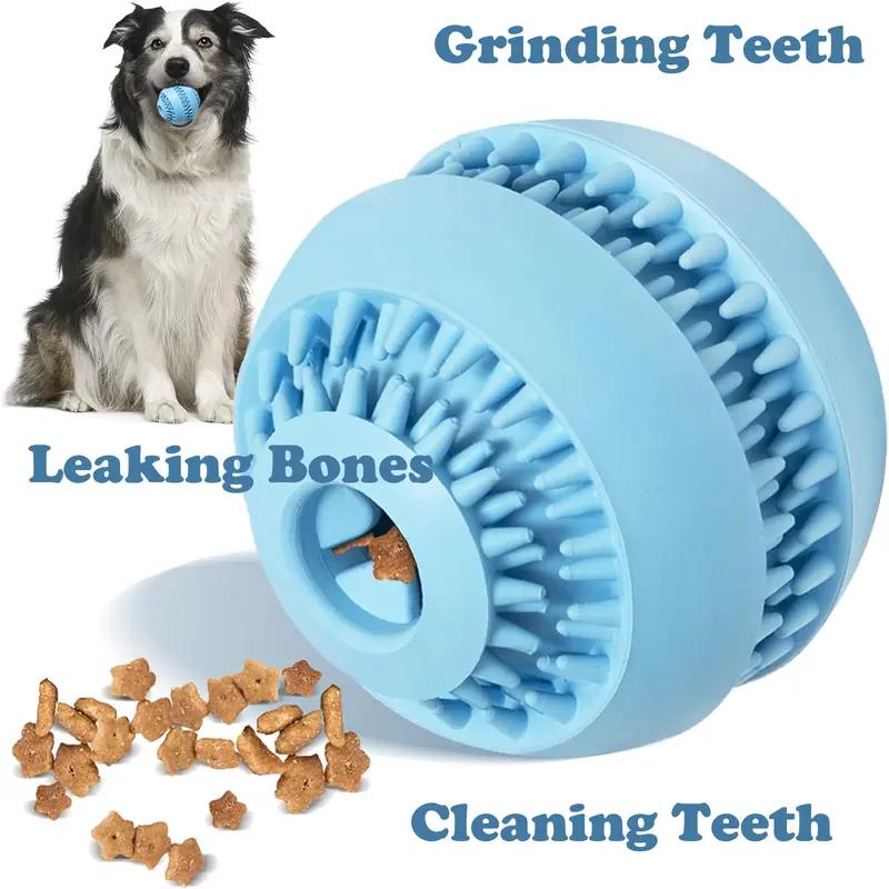 Border collie with blue treat ball dispensing bone-shaped treats – grinding teeth, leaking bones, cleaning teeth