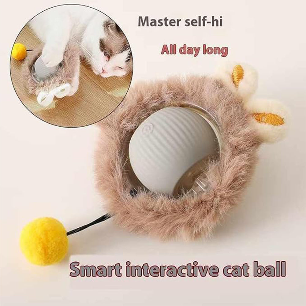 Red interactive cat ball with cat photo and 2-piece set