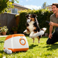 Dog leaping to catch a ball from an orange and white automatic ball launcher on grass, man holding remote