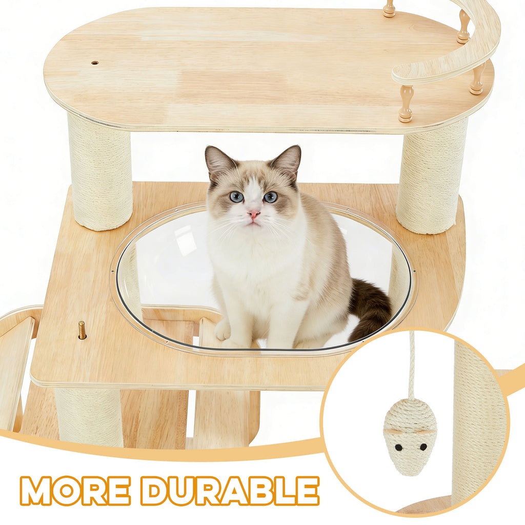 Close-up of cat in transparent space capsule with durable wooden platform and hanging sisal mouse toy