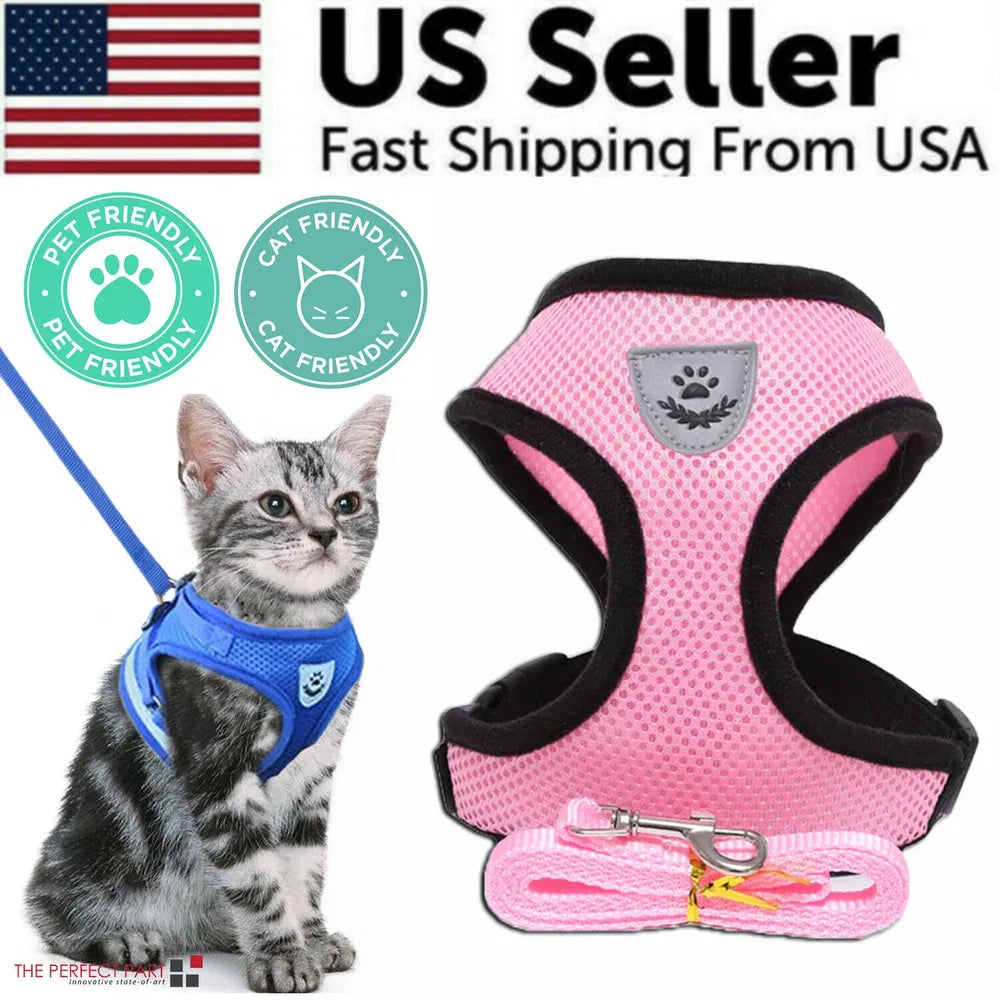 Pink breathable mesh reflective dog harness vest with pink leash set; silver tabby kitten wearing blue no-pull cat harness