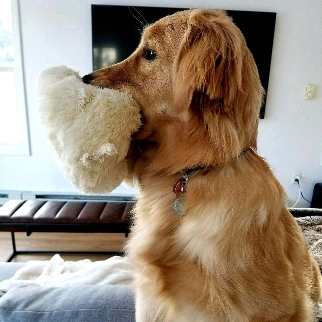 Cream plush heartbeat toy features infographic