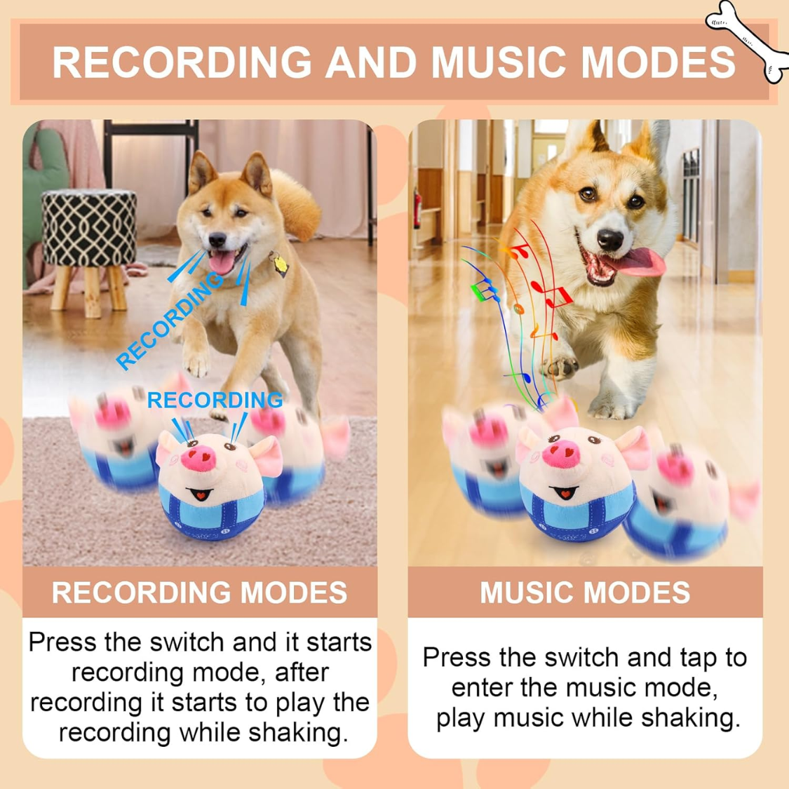 Recording and music modes infographic showing a Shiba Inu and corgi with the pink pig toy