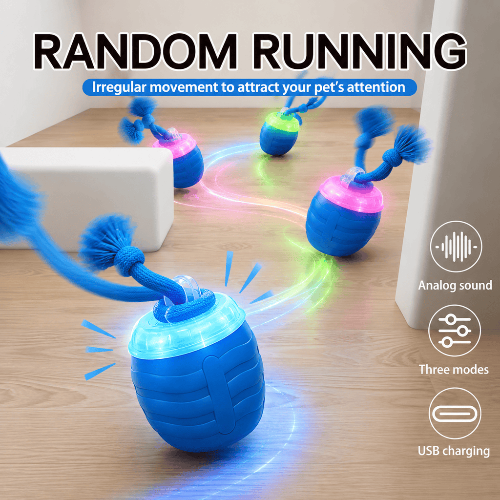 Random running graphic showing glowing smart dog balls with light trails on a wooden floor, highlighting analog sound, three modes, and USB charging.