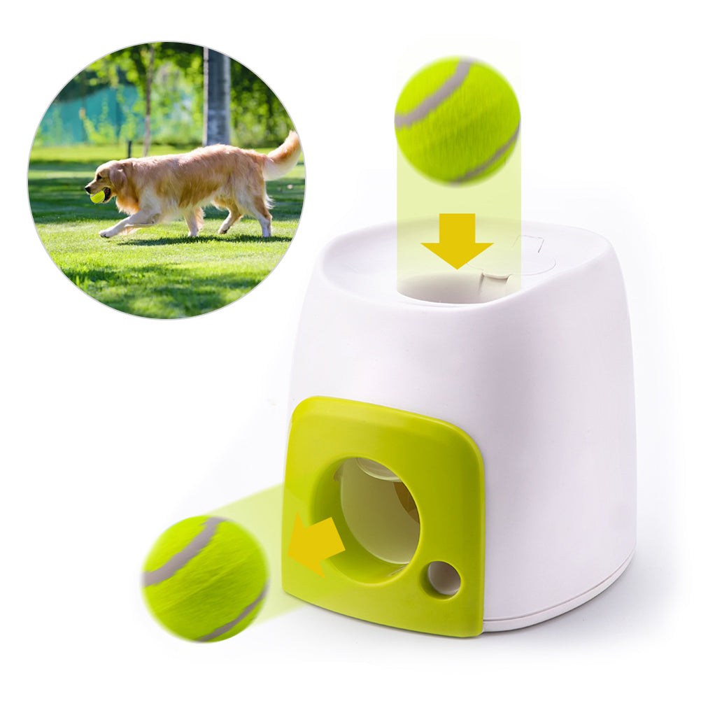 Close-up of the reward machine showing a tennis ball dropping into the top slot and rolling out of the green side opening, with an inset photo of a golden retriever fetching outdoors.