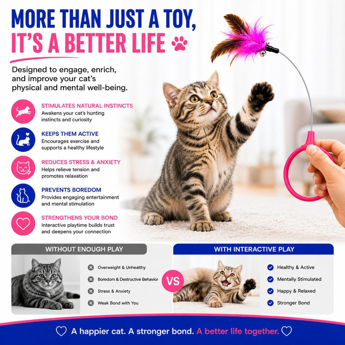 Better life graphic showing a tabby kitten playing with a pink feather wand teaser and listing exercise, stress relief, and bonding benefits.