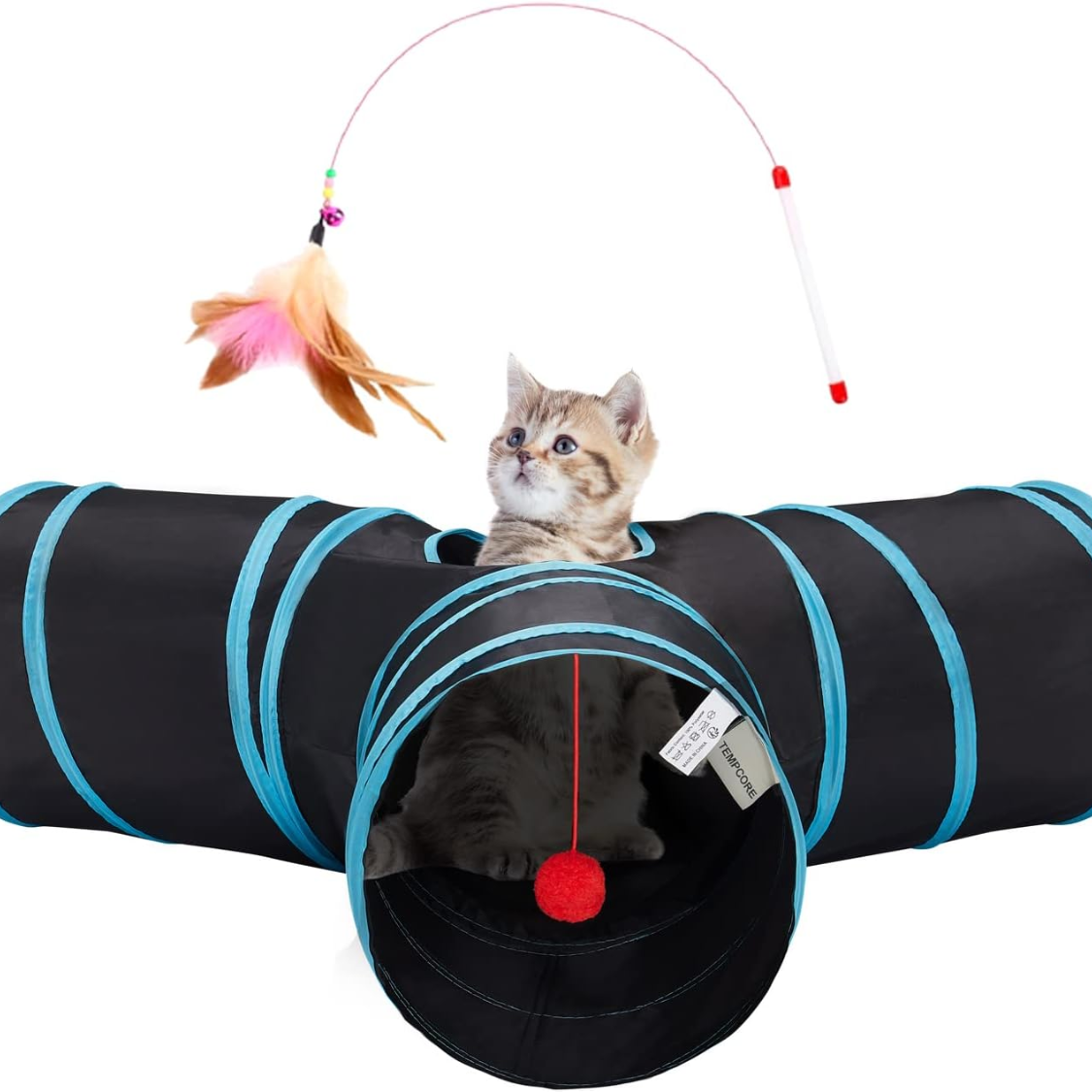 Tabby kitten peeking out of a black 3-way collapsible cat tunnel with blue trim, red pom-pom ball and feather teaser wand
