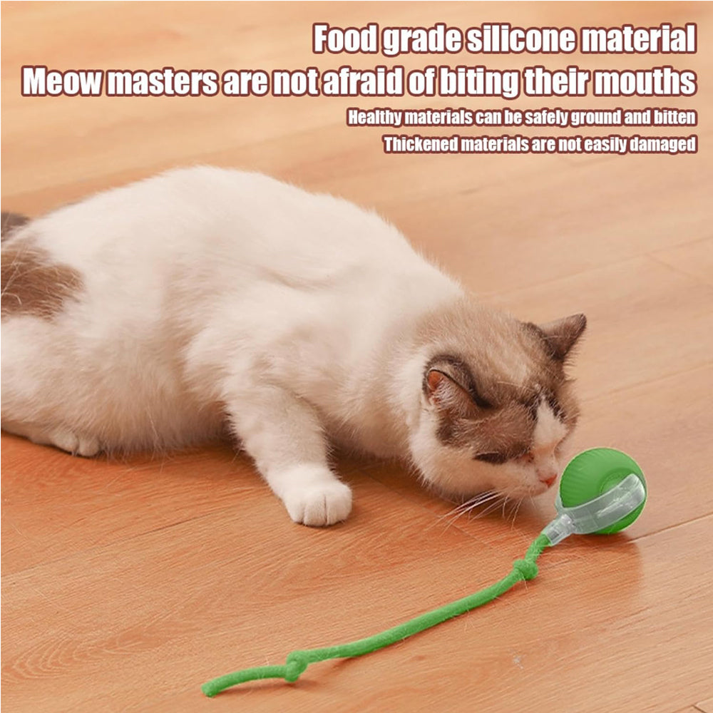 Cat playing with a green electric ball toy