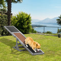 Dog on a gray wooden agility seesaw outdoors