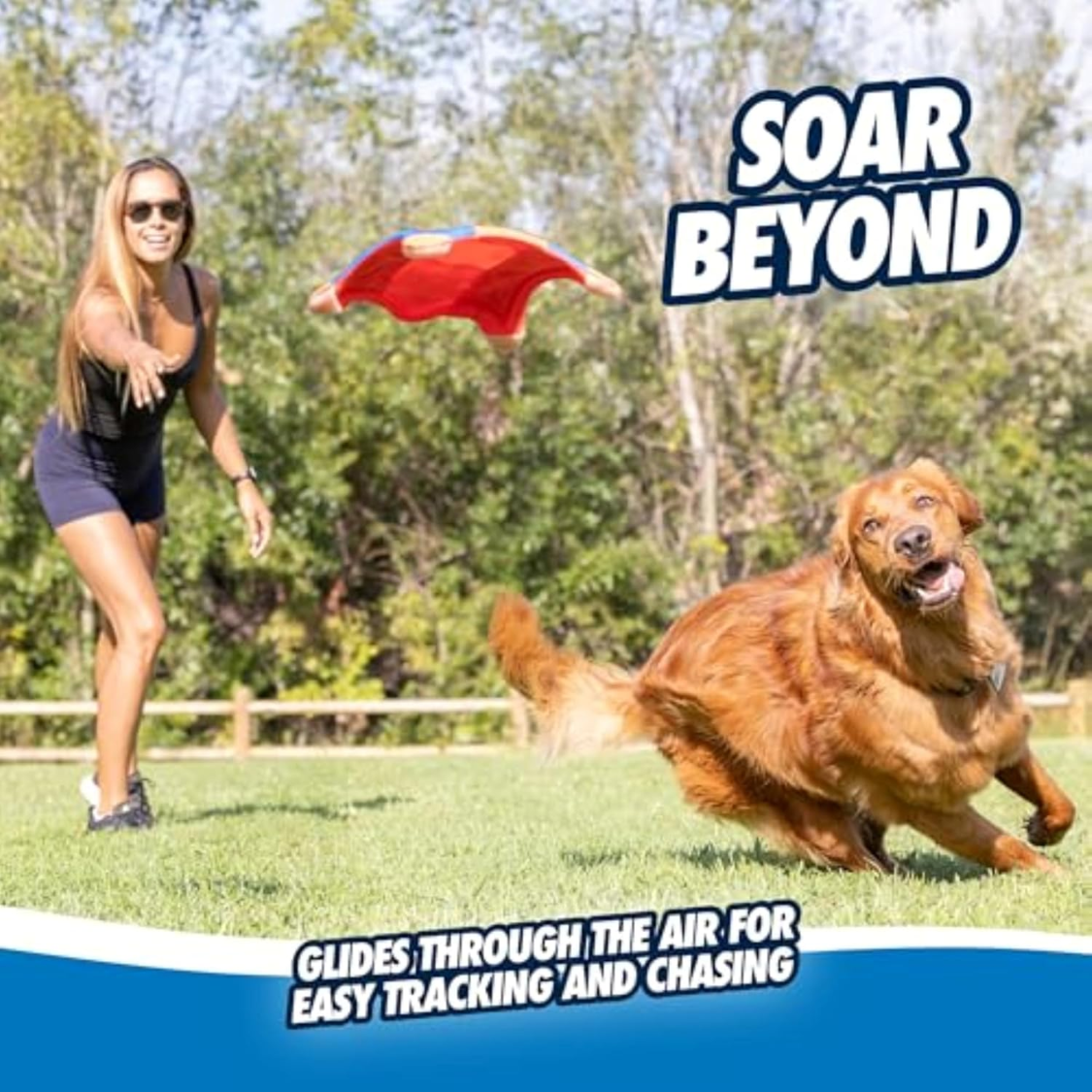 Dog with a flying squirrel toy, soar beyond infographic
