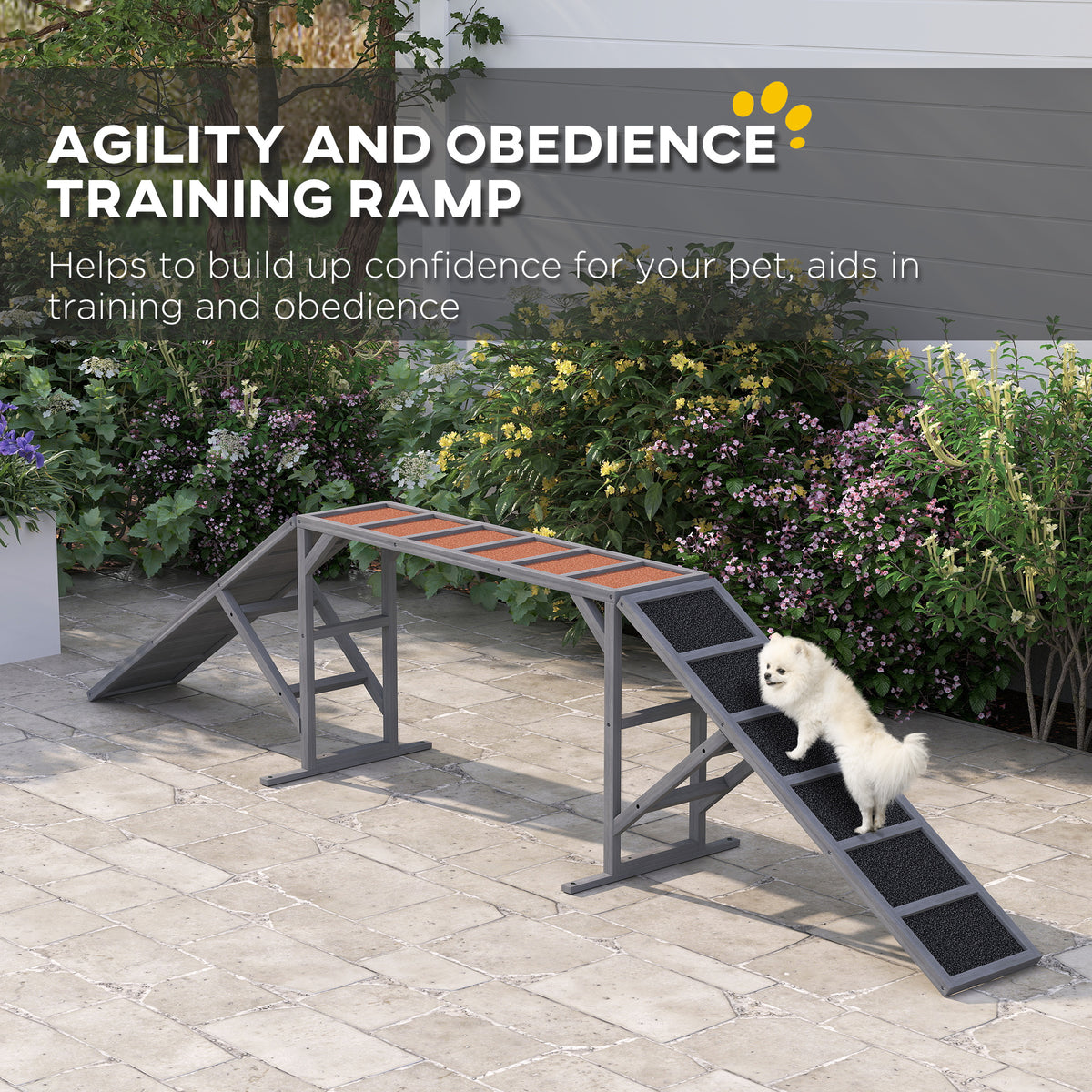 Dog on a gray agility ramp, agility ramp infographic